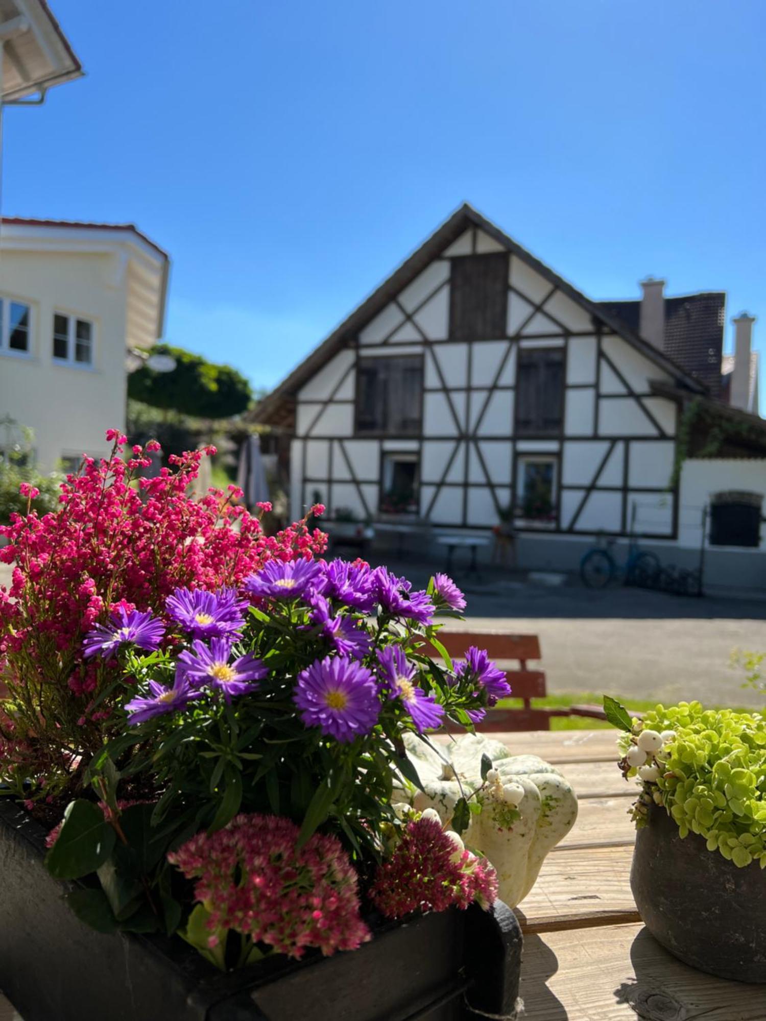 Cafe Canape, Wohlfuehlen Im Schoenen Hof Zwischen Ravensburg & Bodensee מראה חיצוני תמונה